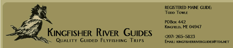 Kingfisher River Guides, Fly Fishing in Maine