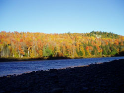 Fall foliage in The Forks, Maine.