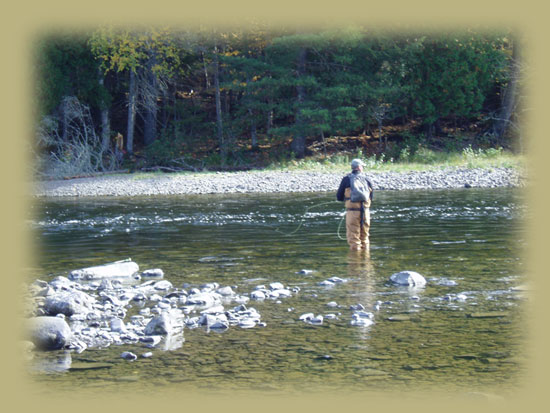 Wading in a pool in a Maine River.